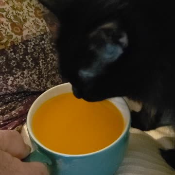 Tang, it's not just for Astronuts 😆