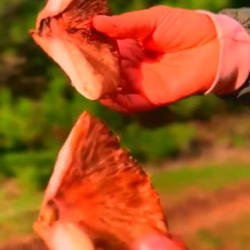 Natural cooking in natural life, best recipes, food, eat, eating, cooking skills, how to cook #40