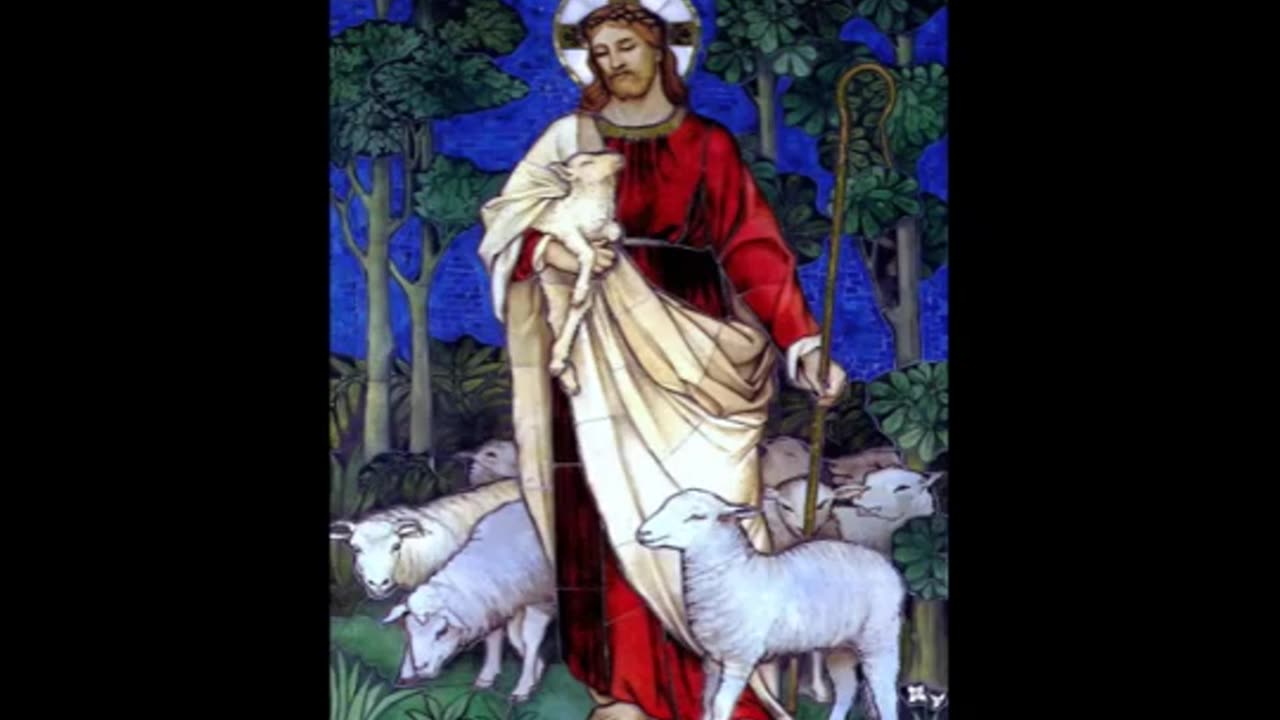 Shepherd Me