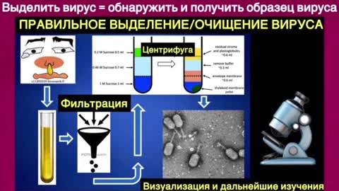 Катя Сугак. Что общего между единорогом и индийским штаммом Дельта