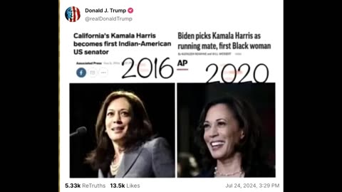 Kamala Harris Is A Hoe, But She Ain't Black!