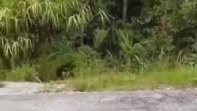 here you can't film turn off the camera