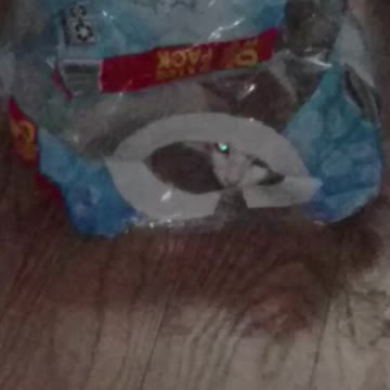 Silly Squeeker, in the water bottle container