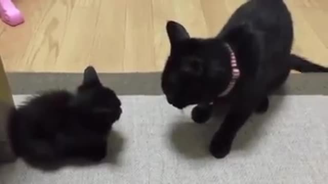 Strict Parent Uses Force