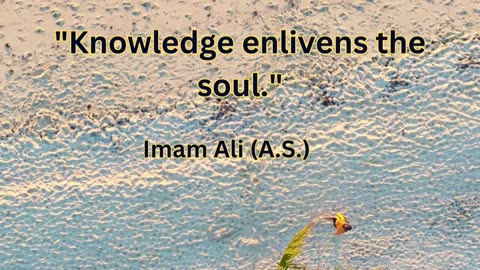 Knowledge "Knowledge enlivens the soul."