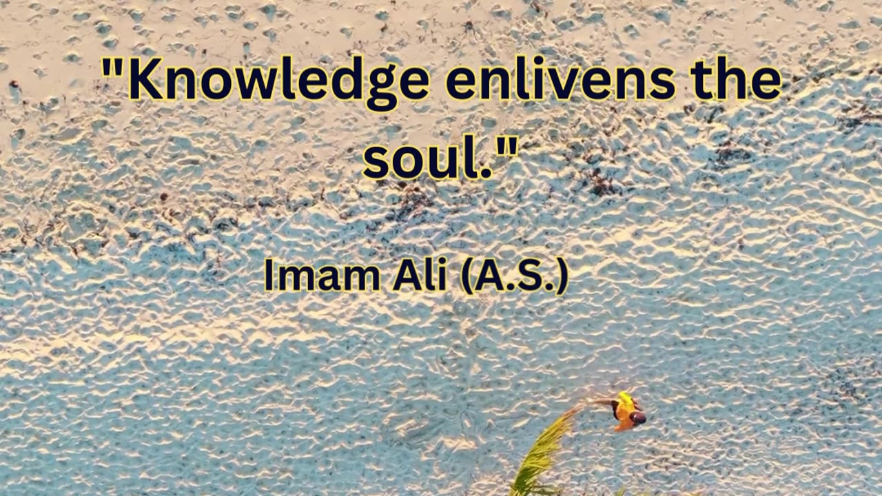 Knowledge "Knowledge enlivens the soul."
