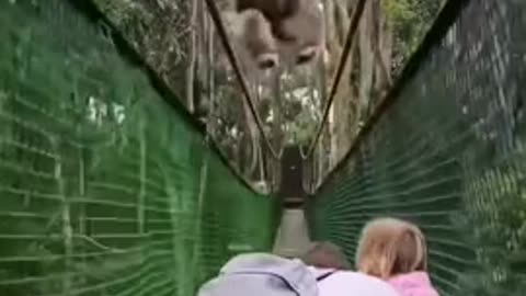 Missed them on purpose 😊😍👍