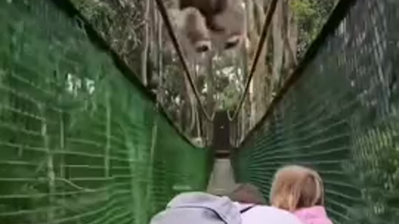 Missed them on purpose 😊😍👍