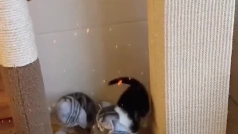 Get out of the way.watch me