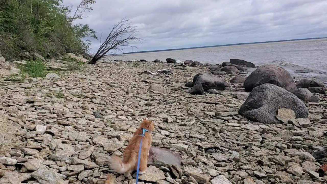 Beach time -Summer is here