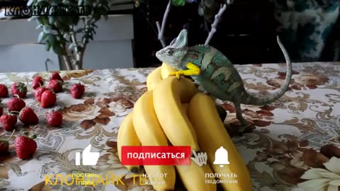 Inexplicable phenomena filmed on camera in Russia and the world