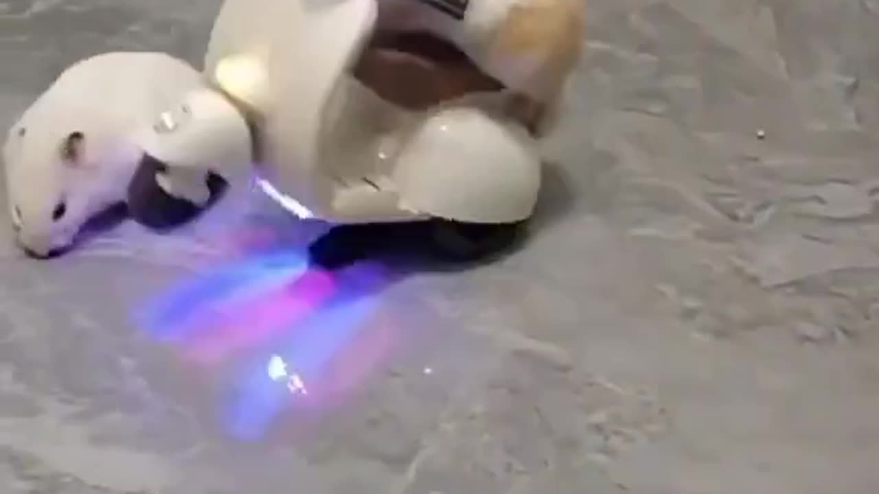 Riders
