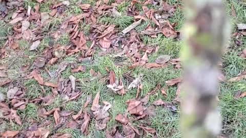Awesome stick