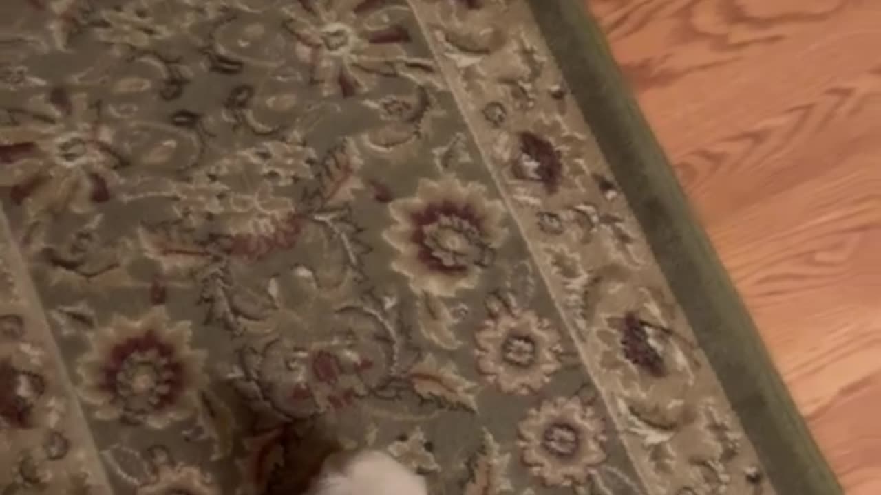 Lol