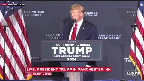 Donald Trump pretending Joe Biden