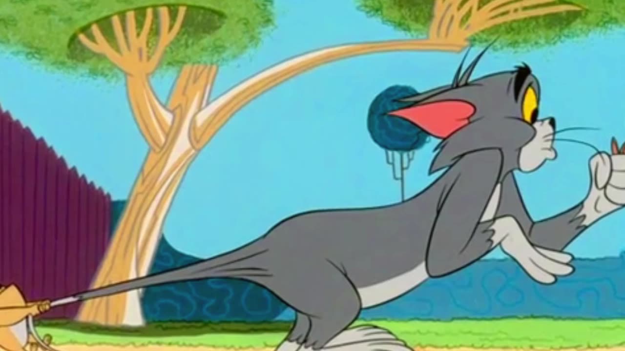 "Get Ready for a Wild Chase: Tom and Jerry Battle for Love in 'Purr-Chance to Dream'"