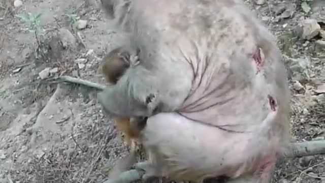 she has had it rough