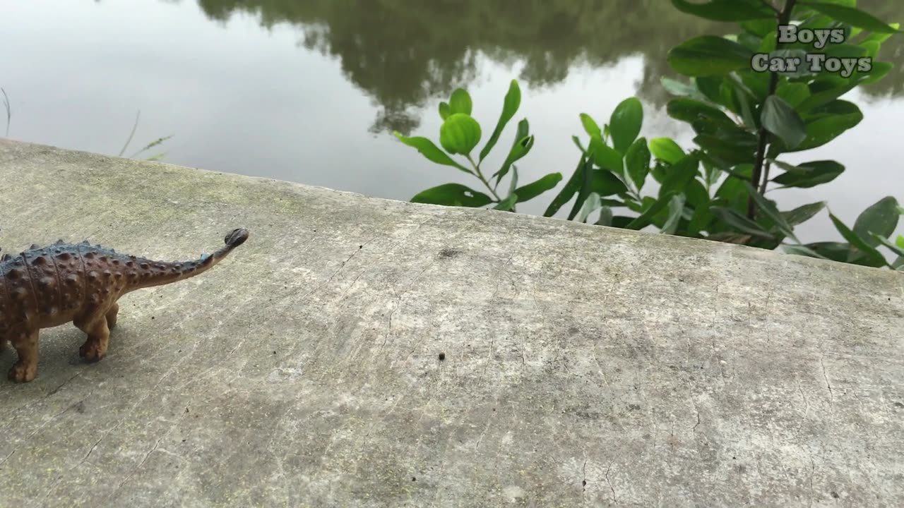 Finding Wild Animals by the River