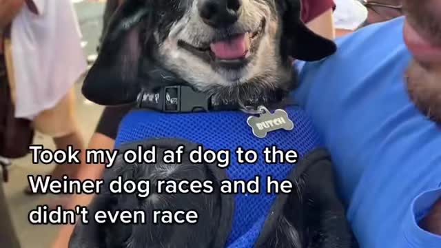 He didn't even race!