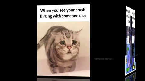 Funny Crush Memes video