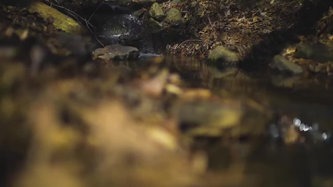 Relaxing Creeek Nature Sounds For Sleep, Stream 3D