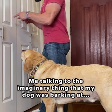 What does your dog bark at?