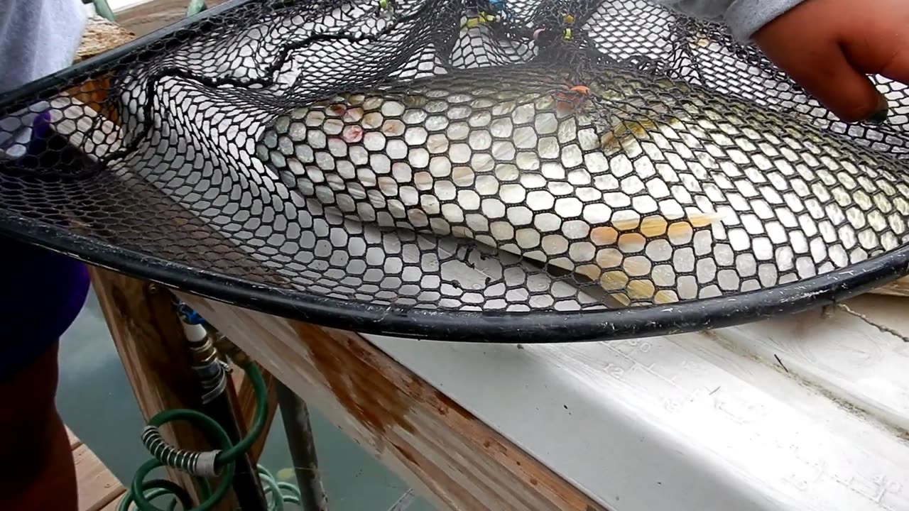 We Caught A Big One!