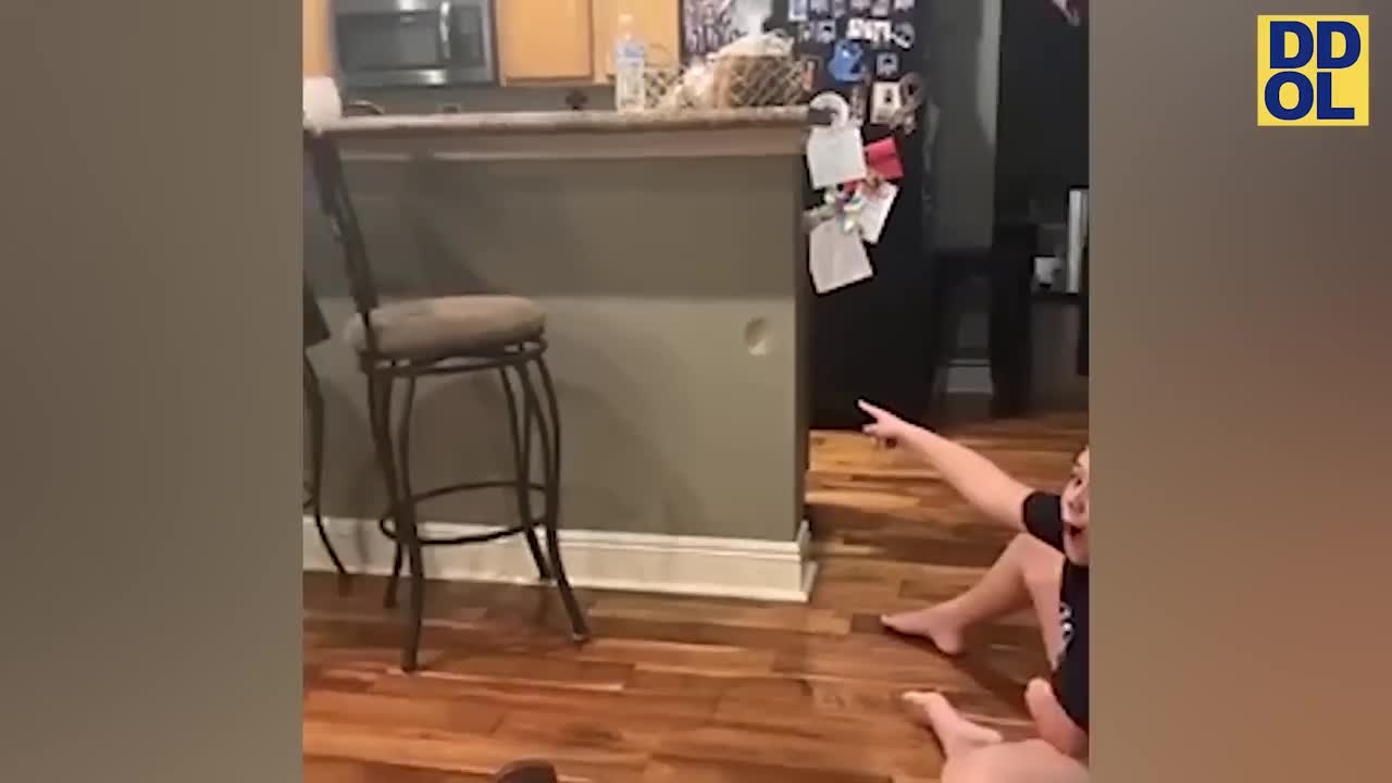TRY NOT TO LAUGH WATCHING FUNNY FAILS VIDEOS