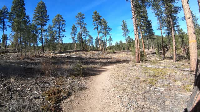Buffalo Creek 73