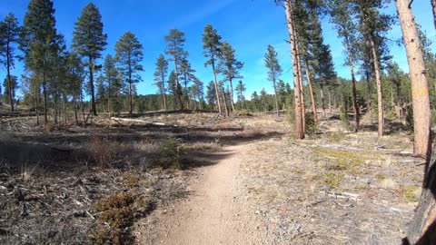 Buffalo Creek 73