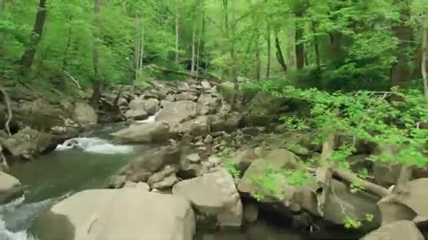 Relaxing Music | Sleeping, Meditation, Stress Relief | [5963] ⭐️