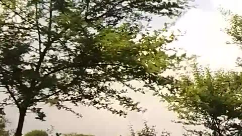 A man stand by his car at the top off house