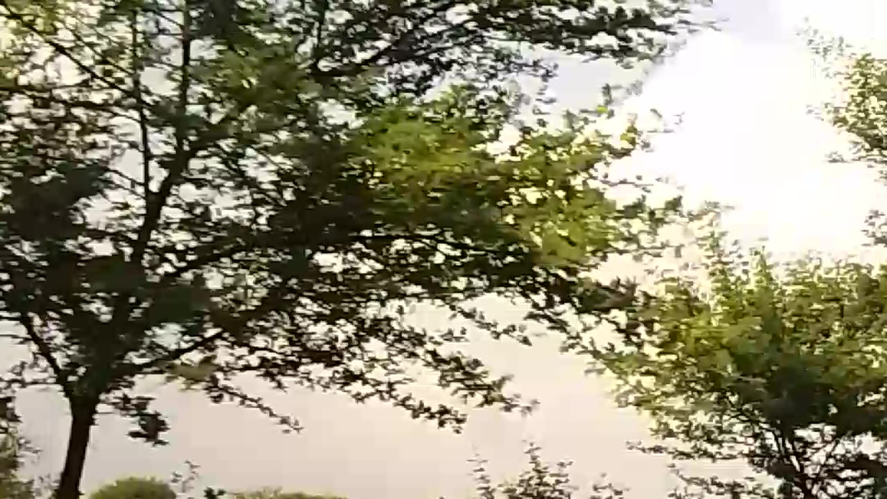 A man stand by his car at the top off house