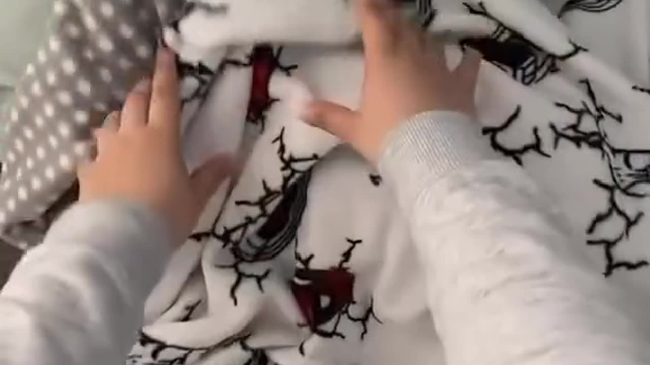 Funny and Cute Cats Videos #436