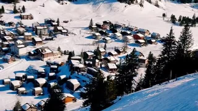 Snow view from the cable car