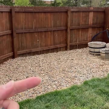 8 more months you spying MFS