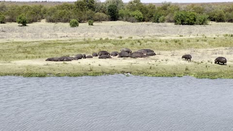 Another day in the Kruger Park South Africa