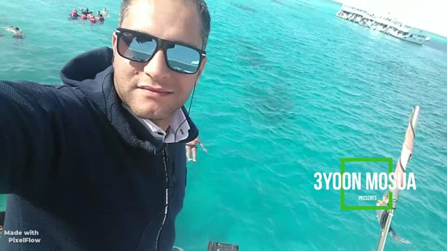 فوج شرم الشيخ سفاري