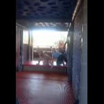 McDonald's playground