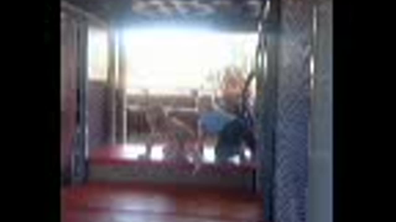 McDonald's playground