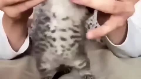 Give love to beautiful