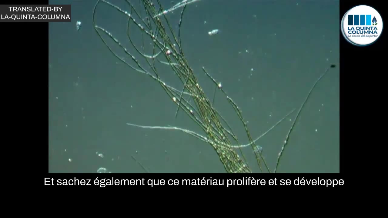 NANOTUBOS DE CARBONO EN VACUNA PFIZER
