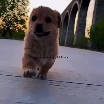 It's the little things that make everything worth your while