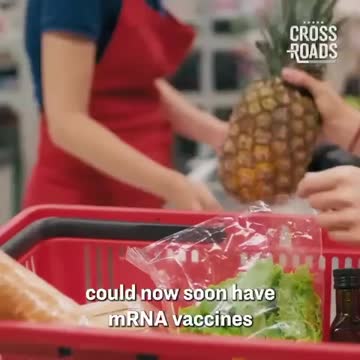 mRNA Vaccinated food. Even the the basic foods if you don’t eat meat.