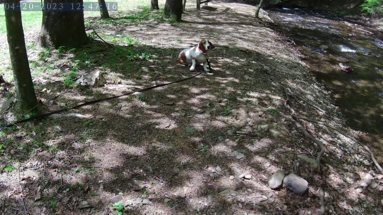 #7 Main Creek