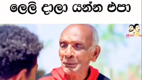Funny videos 😂😃