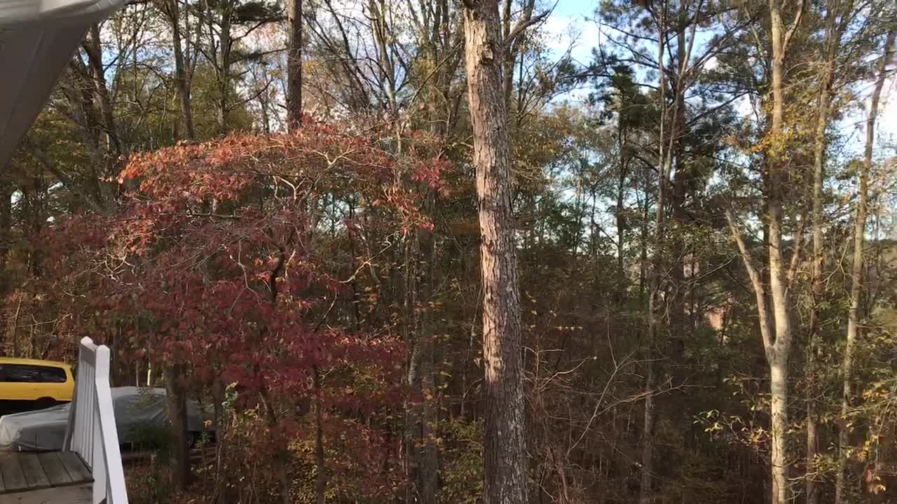 Sharing a Selah Tune