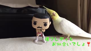 Good mood with Cockatiel Freddy's figure