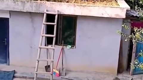 How are you doing well I miss the kids doing