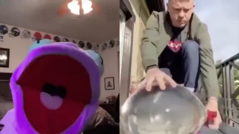 kermitontiktok FUNNIEST VIDEOS